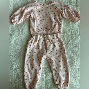 9-12 month girls pink floral set